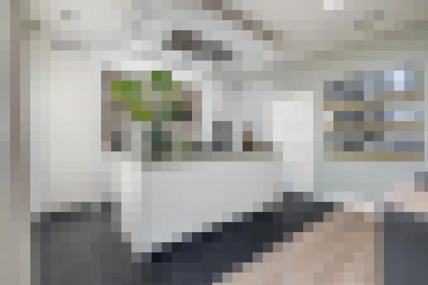 Prins Alexanderlaan 23 Breda thumbnail 34
