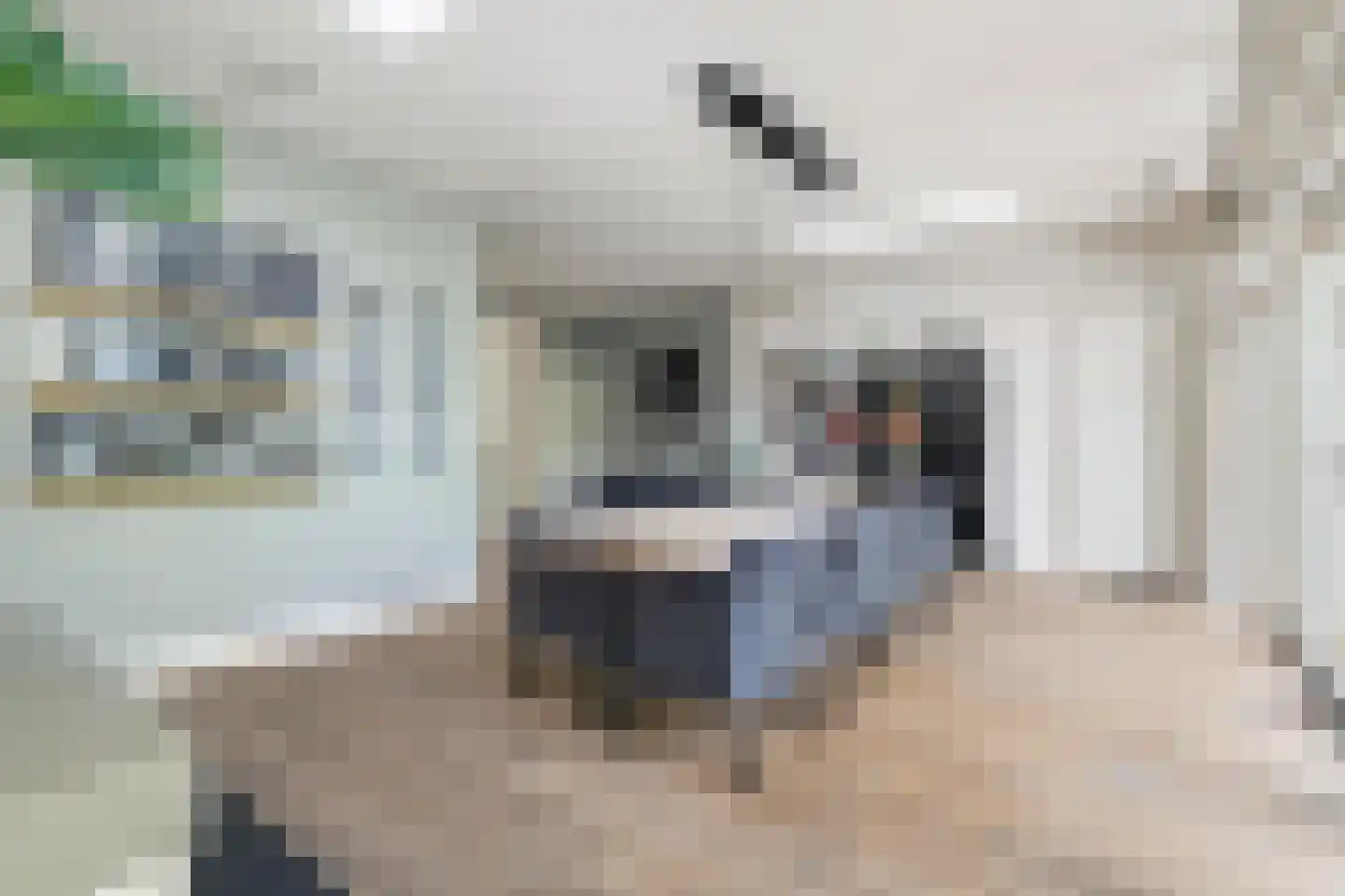 Prins Alexanderlaan 23 Breda thumbnail 36