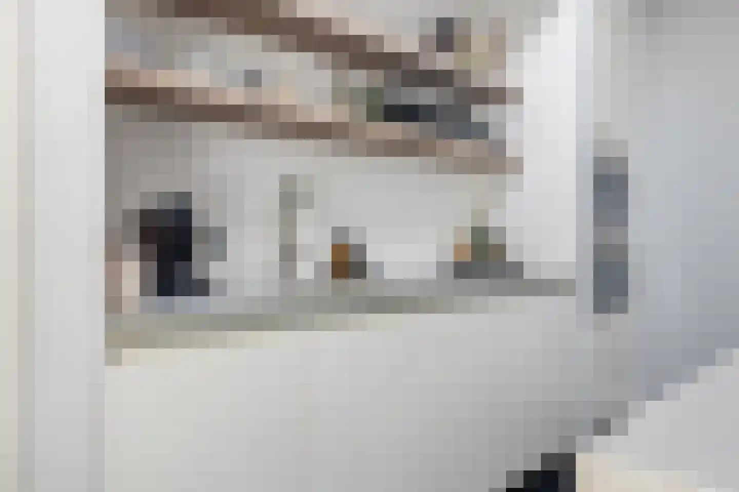 Prins Alexanderlaan 23 Breda thumbnail 37
