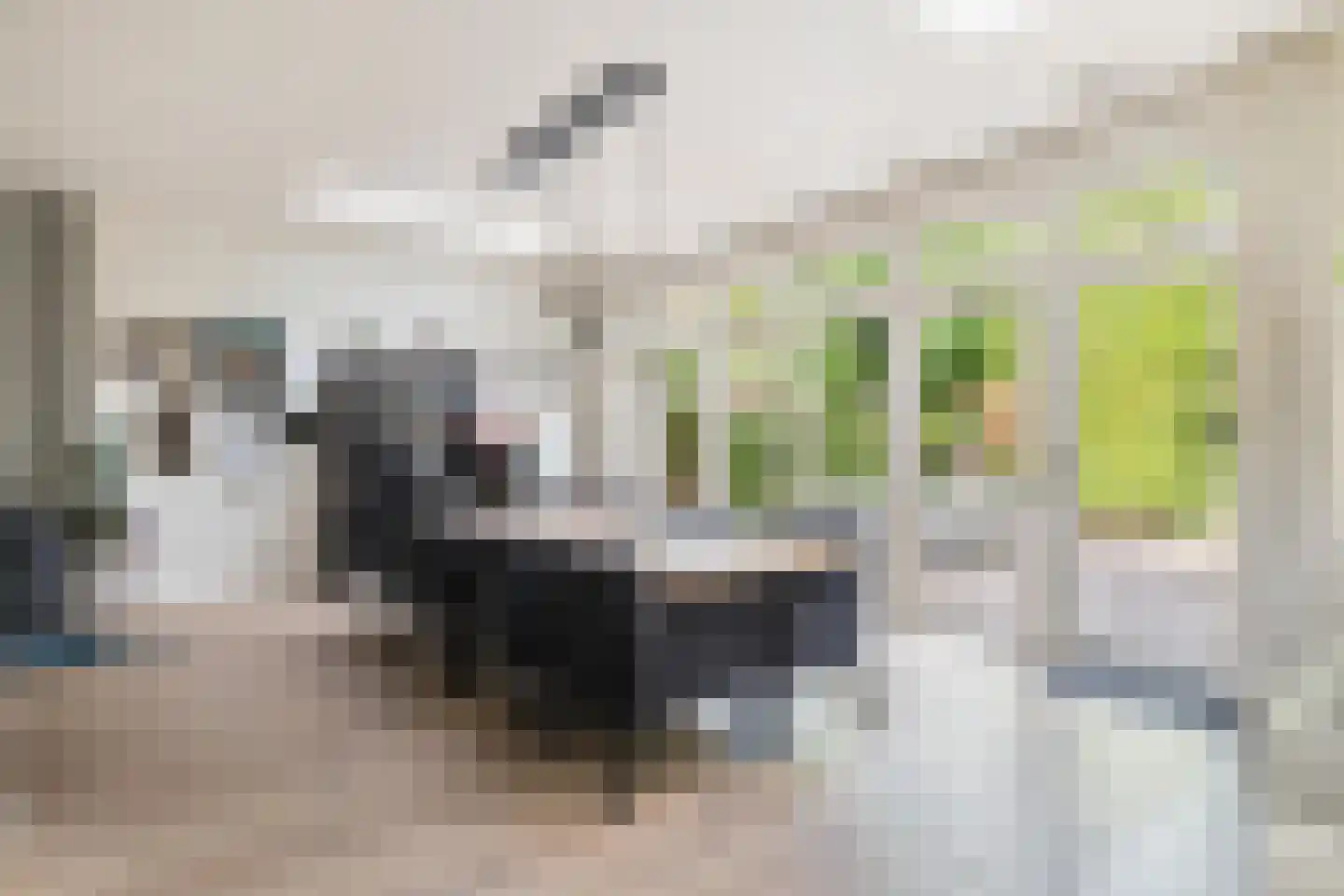 Prins Alexanderlaan 23 Breda thumbnail 40