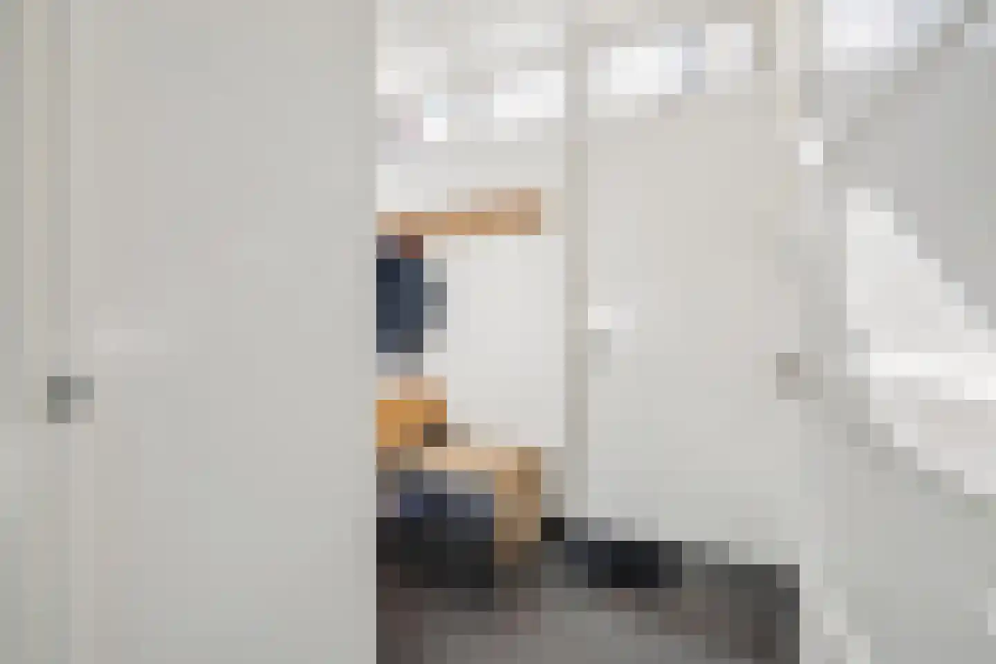 Prins Alexanderlaan 23 Breda thumbnail 41