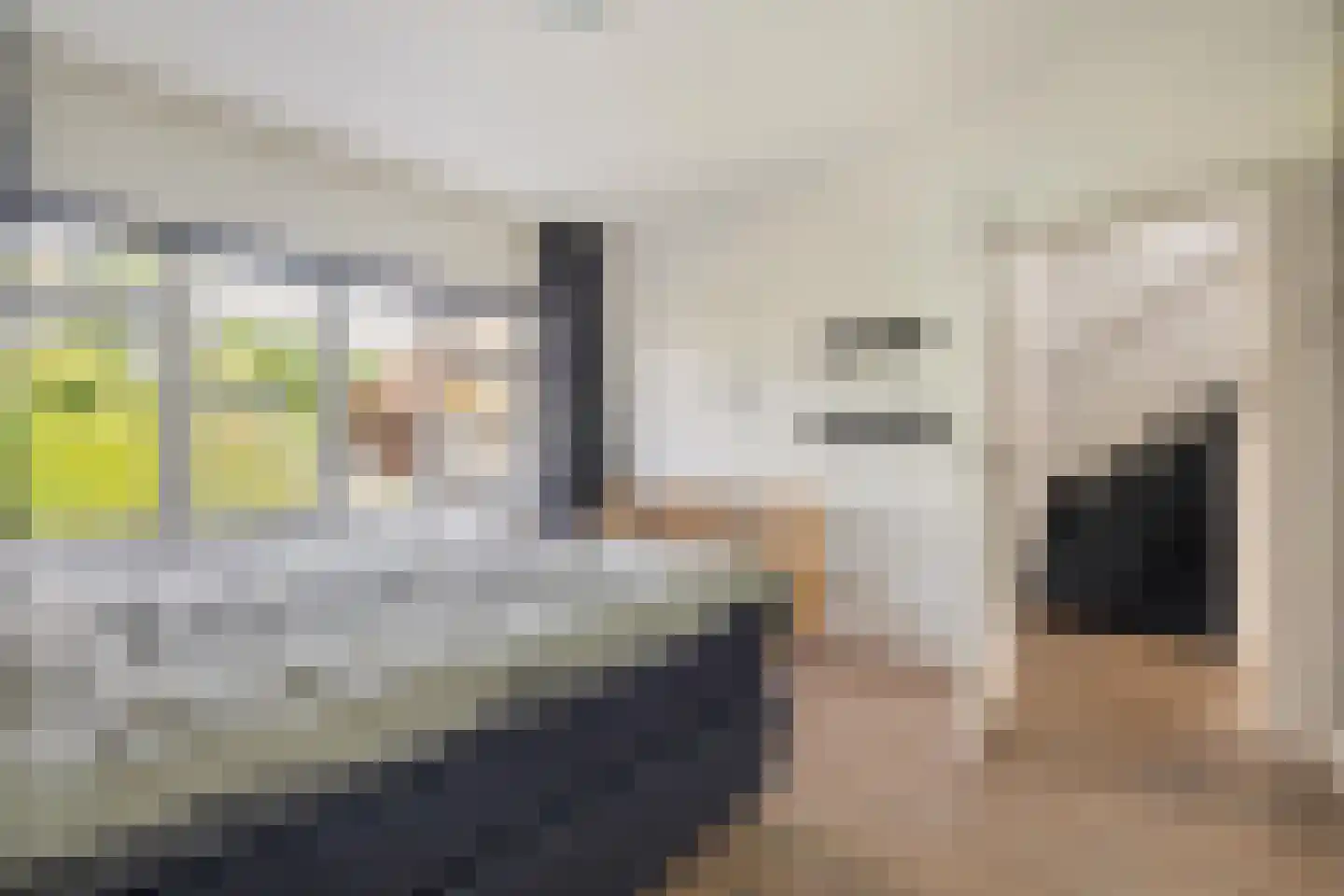 Prins Alexanderlaan 23 Breda thumbnail 49