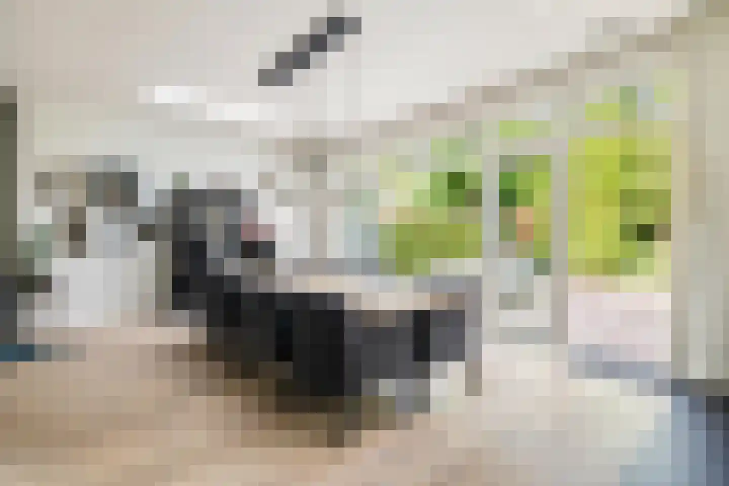 Prins Alexanderlaan 23 Breda thumbnail 74
