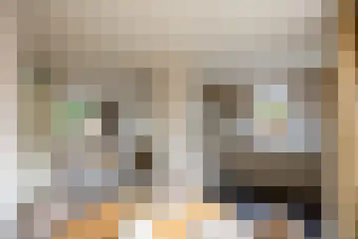 Prins Alexanderlaan 3 Berg en Dal thumbnail 13