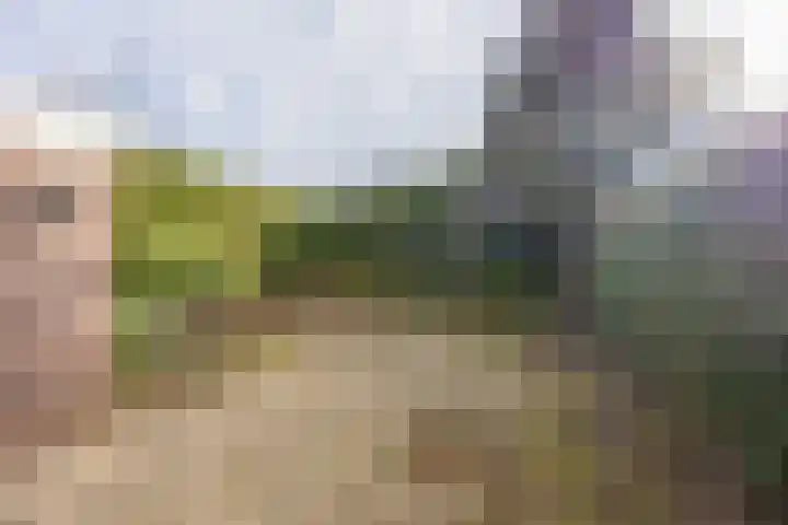 Prins Alexanderlaan 3 Berg en Dal thumbnail 26