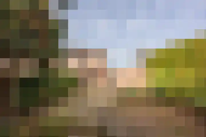 Prins Alexanderlaan 3 Berg en Dal thumbnail 27