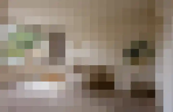 Prins Alexanderlaan 3 Berg en Dal thumbnail 7