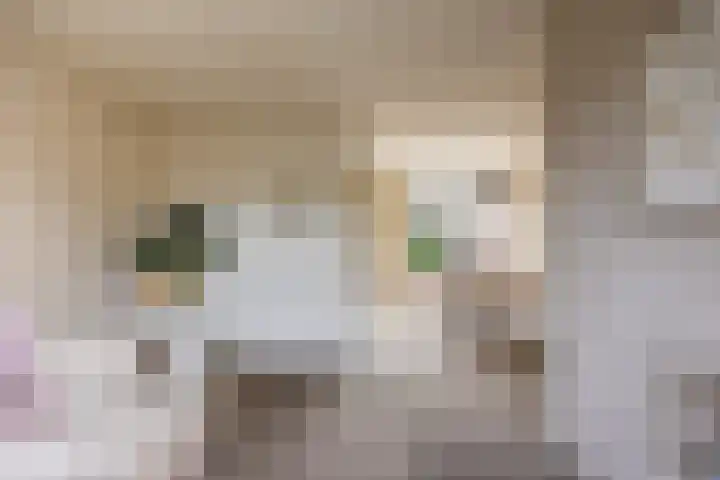 Prins Alexanderlaan 3 Berg en Dal thumbnail 8