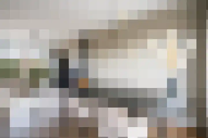 Prins Alexanderlaan 69 Nieuwerkerk aan den IJssel thumbnail 14