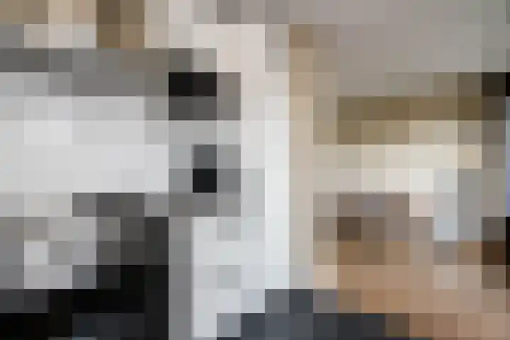 Prins Alexanderlaan 69 Nieuwerkerk aan den IJssel thumbnail 17