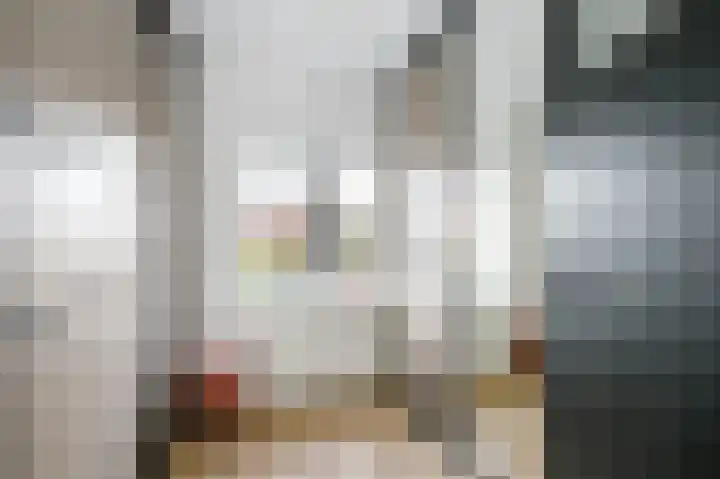 Prins Alexanderlaan 69 Nieuwerkerk aan den IJssel thumbnail 25