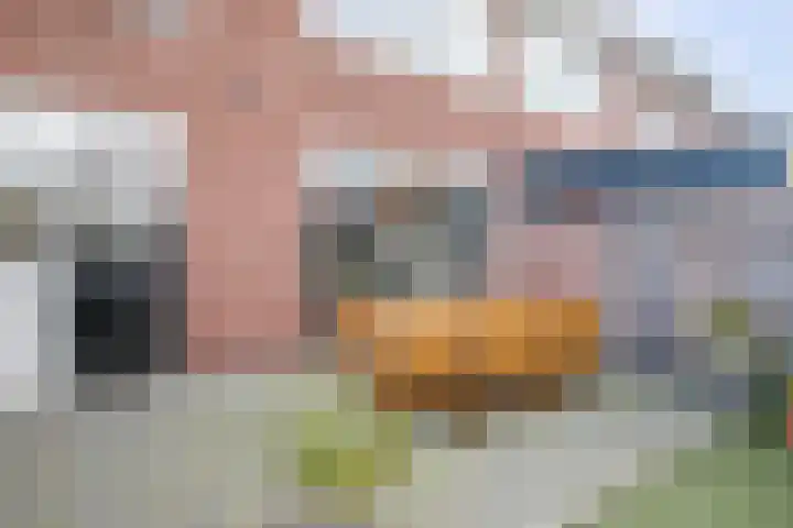 Prins Alexanderlaan 69 Nieuwerkerk aan den IJssel thumbnail 32