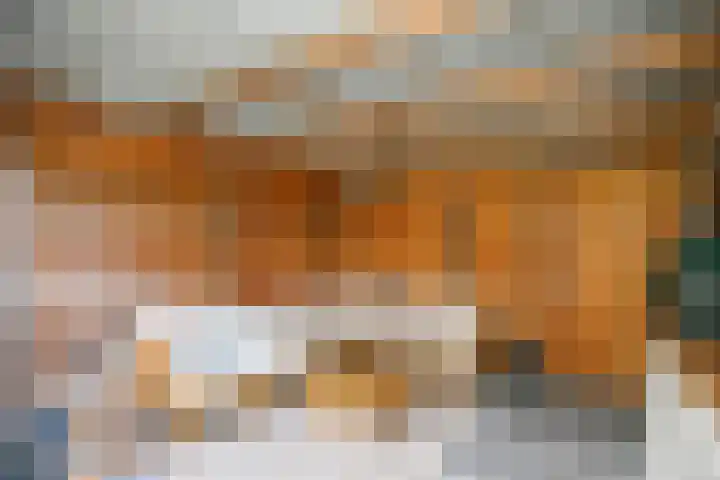 Prins Alexanderlaan 69 Nieuwerkerk aan den IJssel thumbnail 37