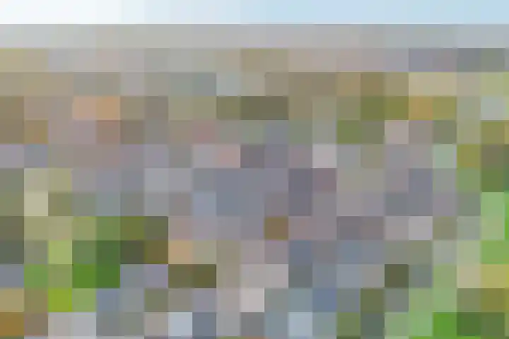Prins Alexanderlaan 69 Nieuwerkerk aan den IJssel thumbnail 50