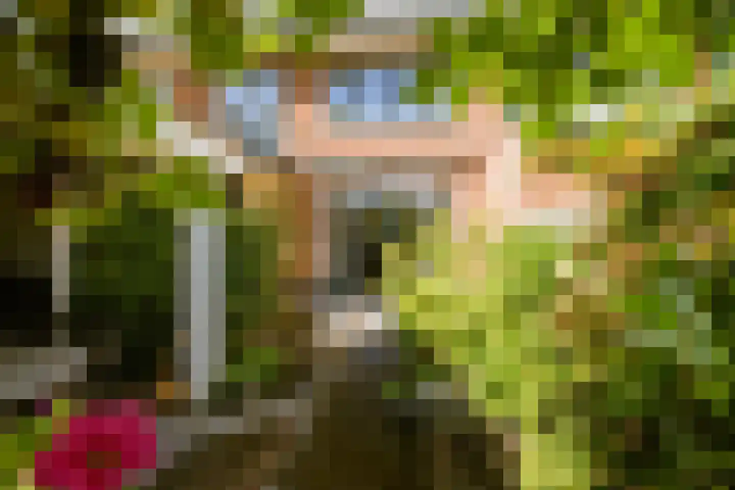 Prins Alexanderlaan 8 Breda thumbnail 59
