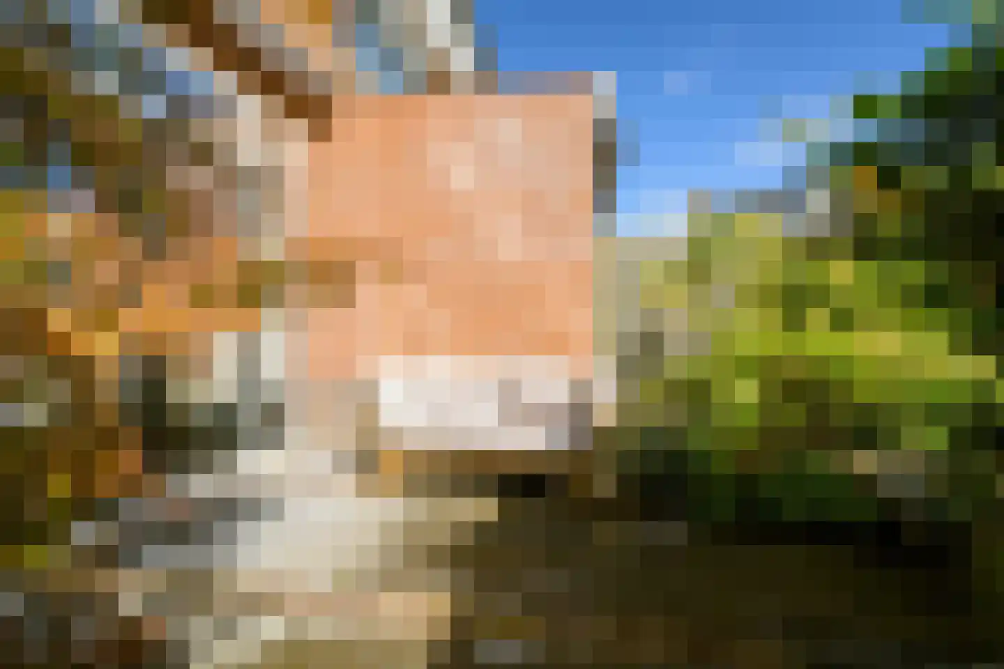 Prins Alexanderlaan 8 Breda thumbnail 61