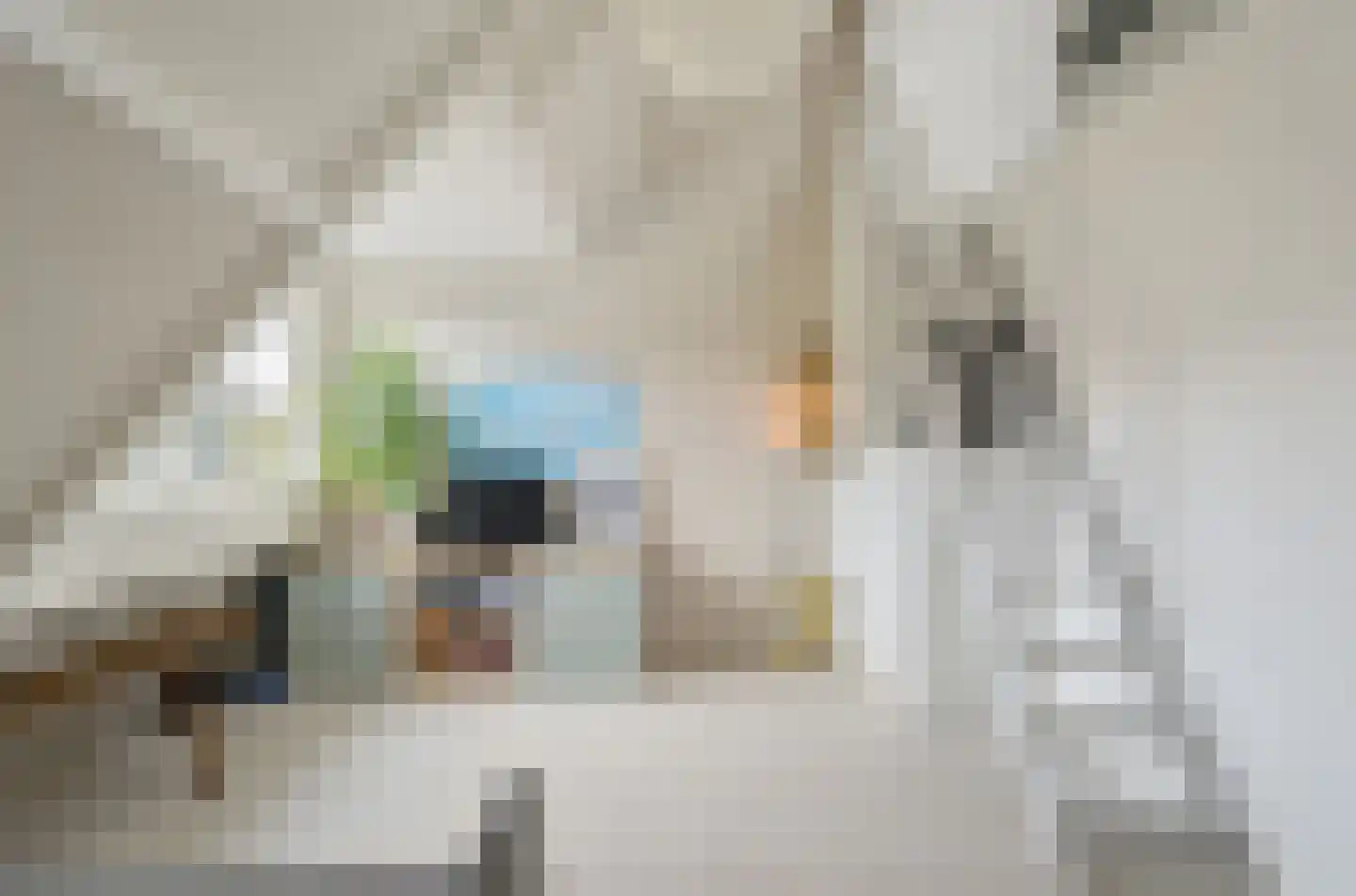 Prins Alexanderlaan 8 Breda thumbnail 8