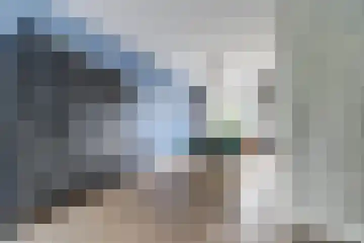 Prins Alexanderstraat 12 Waddinxveen thumbnail 15