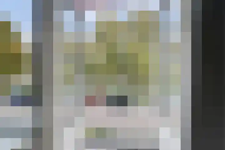 Prins Alexanderstraat 12 Waddinxveen thumbnail 24