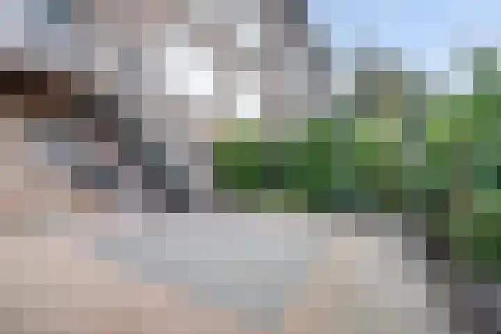 Prins Alexanderstraat 12 Waddinxveen thumbnail 34