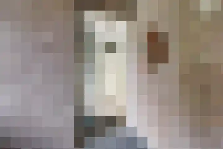 Prins Alexanderstraat 12 Waddinxveen thumbnail 35