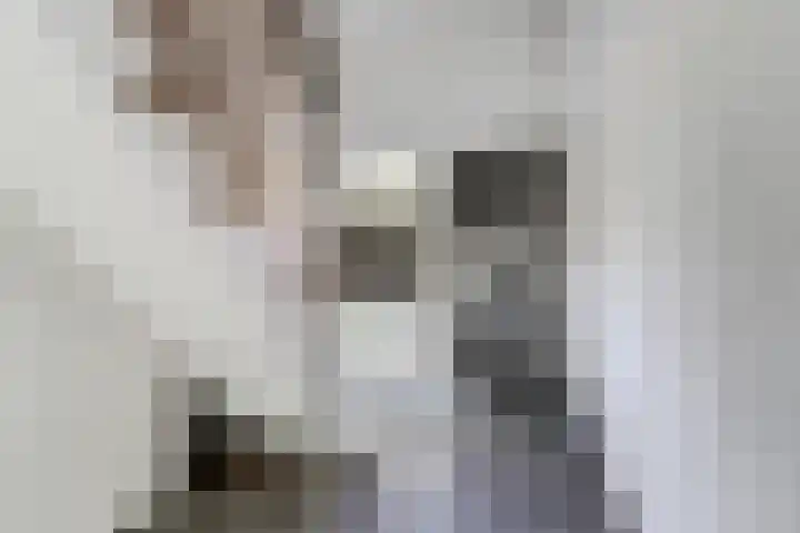 Prins Alexanderstraat 12 Waddinxveen thumbnail 38