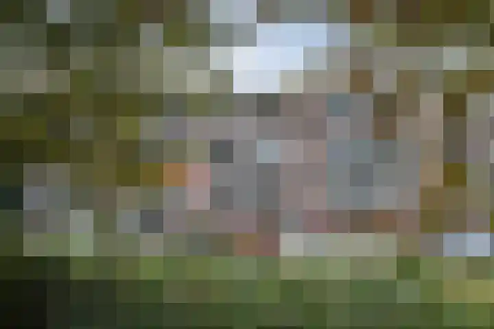 Prins Alexanderstraat 12 Waddinxveen thumbnail 7