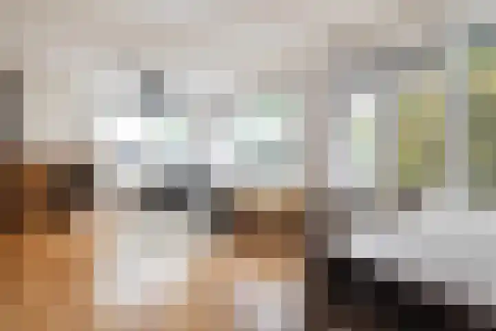 Prins Alexanderstraat 2 Waddinxveen thumbnail 13