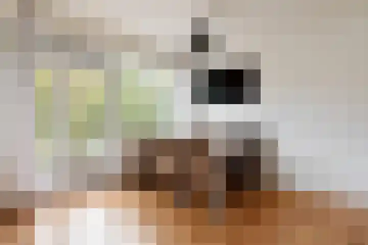 Prins Alexanderstraat 2 Waddinxveen thumbnail 17