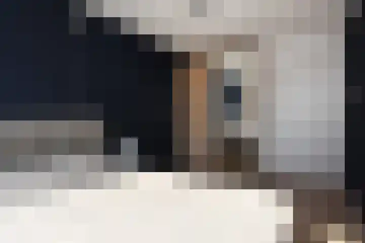 Prins Alexanderstraat 2 Waddinxveen thumbnail 26