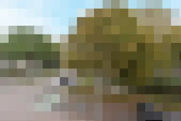 Prins Alexanderstraat 2 Waddinxveen thumbnail 32