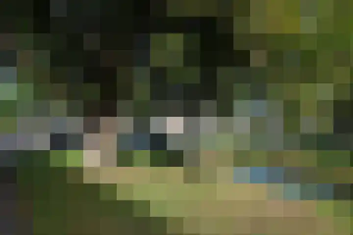 Prins Alexanderstraat 2 Waddinxveen thumbnail 33