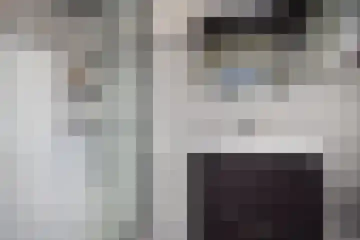 Prins Alexanderstraat 2 Waddinxveen thumbnail 4