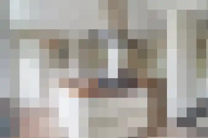 Prins Alexanderstraat 26 Eindhoven thumbnail 12