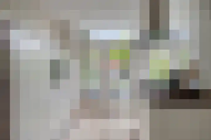 Prins Alexanderstraat 26 Eindhoven thumbnail 13