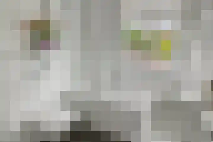 Prins Alexanderstraat 26 Eindhoven thumbnail 16