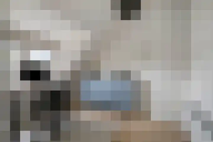 Prins Alexanderstraat 26 Eindhoven thumbnail 24
