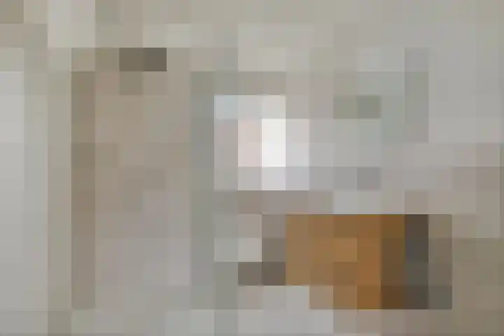 Prins Alexanderstraat 26 Eindhoven thumbnail 26
