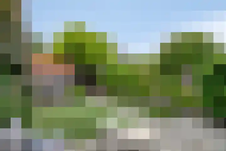 Prins Alexanderstraat 26 Eindhoven thumbnail 28