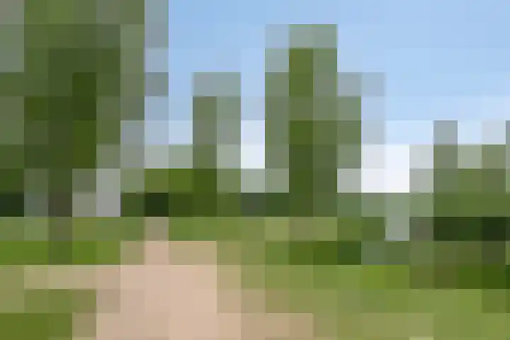 Prins Alexanderstraat 26 Eindhoven thumbnail 34