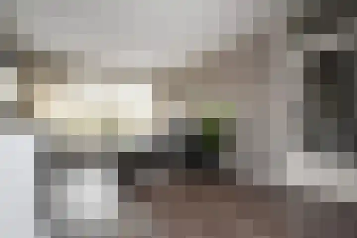 Prins Alexanderstraat 3 Waddinxveen thumbnail 10