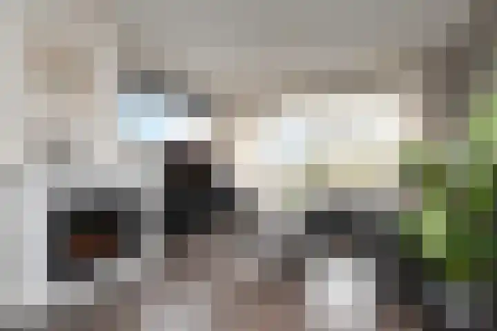 Prins Alexanderstraat 3 Waddinxveen thumbnail 11