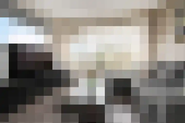Prins Alexanderstraat 3 Waddinxveen thumbnail 12
