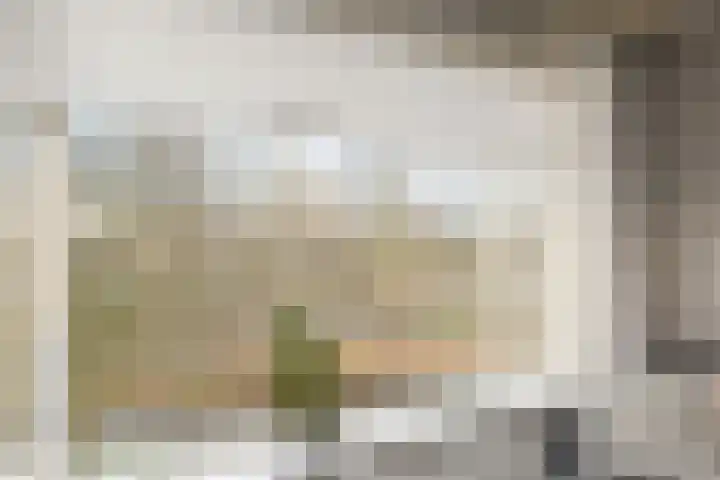 Prins Alexanderstraat 3 Waddinxveen thumbnail 13