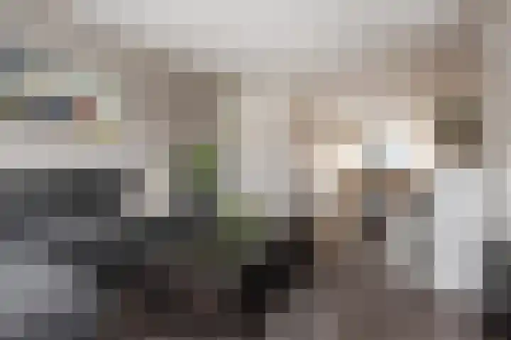 Prins Alexanderstraat 3 Waddinxveen thumbnail 14