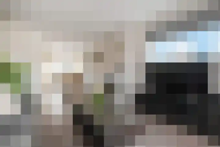 Prins Alexanderstraat 3 Waddinxveen thumbnail 15