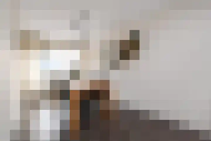 Prins Alexanderstraat 3 Waddinxveen thumbnail 17