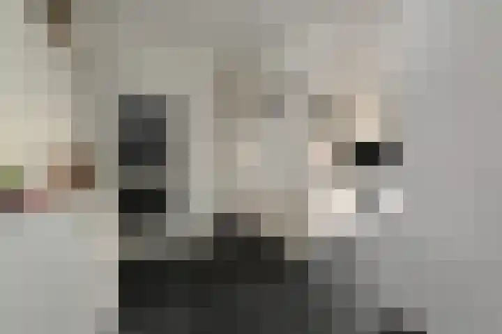 Prins Alexanderstraat 3 Waddinxveen thumbnail 20