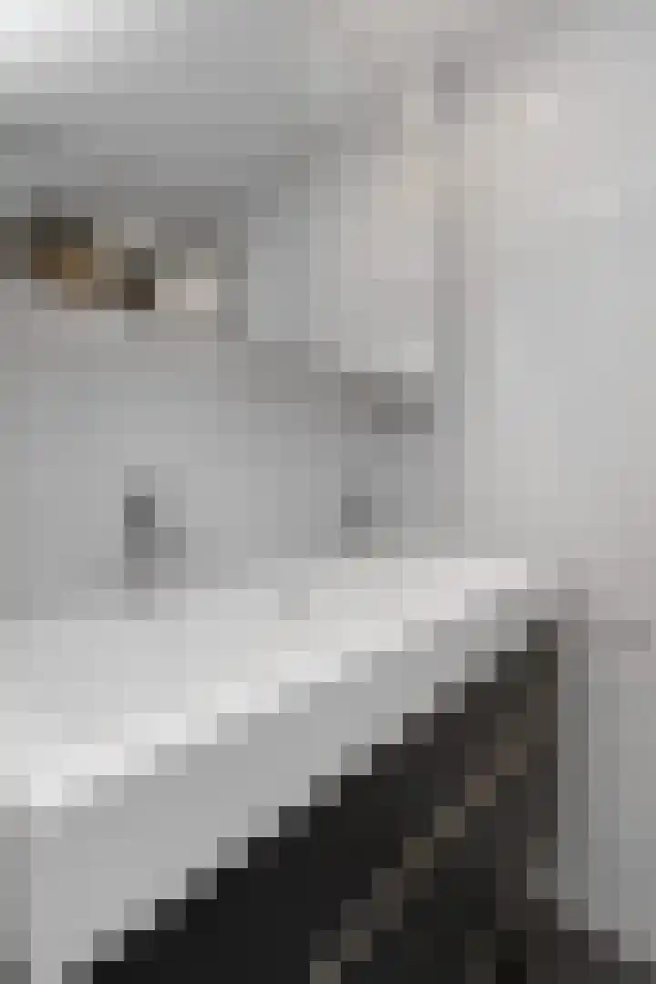 Prins Alexanderstraat 3 Waddinxveen thumbnail 36