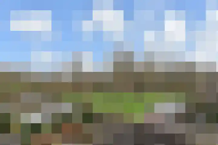Prins Alexanderstraat 3 Waddinxveen thumbnail 38
